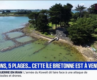Replay BFM Première - Deux maisons, cinq plages…: une île bretonne à vendre pour 2,5 millions d'euros