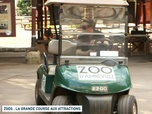 Replay Un jour, un doc - Zoos : la grande course aux attractions