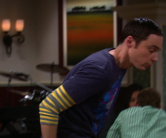 Replay The Big Bang Theory - S4E8 - Soirée entre filles