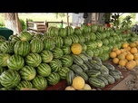 Replay De la terre à la table : suivre les récoltes saisonnières en Ouzbékistan