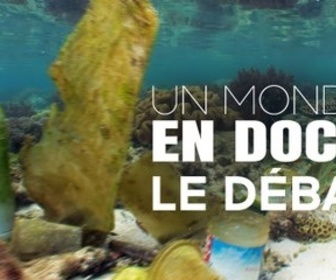 Replay Un monde en doc - Océans : Faire face à l'explosion de la pollution plastique