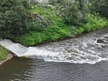 Replay Sécheresse : quel secteur consomme le plus d'eau en Europe ?