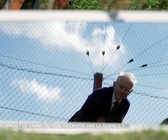 Replay e=m6 - Stars de nos fermes : les coqs et les chèvres comme vous ne les avez jamais vus !