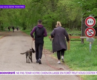 Replay On a de l'info - Tenir votre chien en laisse pour préserver la biodiversité