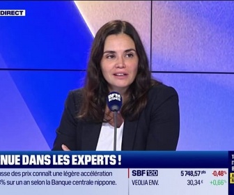 Replay Les Experts - Budget: La dépense publique n'est pas une armée de fonctionnaires qui embêtent les Français