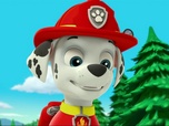 Replay Paw Patrol, la Pat'Patrouille - Alex le louveteau
