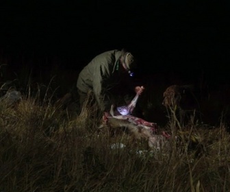 Replay Seuls face à l'Alaska - S8E3 - Chute dans les ténèbres