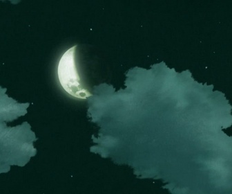 Replay Naruto Shippuden - S10 E5 - La femme ninja de Nadeshiko