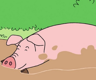 Replay Barbapapa en Famille - Les décodeurs