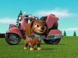 Replay Paw Patrol, la Pat'Patrouille - Liberty à la rescousse