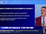 Replay La chronique éco - Prix du chocolat: le cours du cacao a augmenté de 142% depuis juillet 2022