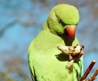 Replay C pas si loin - 02/02/2026