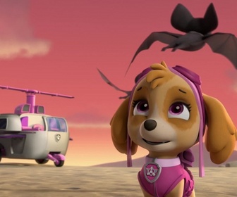 Replay Paw Patrol, la Pat'Patrouille - S04 E21 - La Fête avec les Chauves-Souris