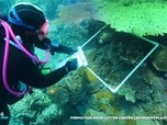 Replay Positive Outre-mer - Mayotte La formation pour lutter contre les micros plastiques