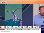 Replay Culture et vous - Jeux vidéo: le parc de Sceaux accueille l'annuel Pokémon Go Fest