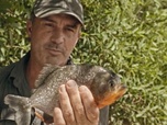 Replay Pêche XXL : derniers géants - Colosse amazonien