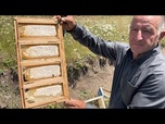 Replay À la rencontre de l'apiculteur qui perpétue trois générations de tradition familiale