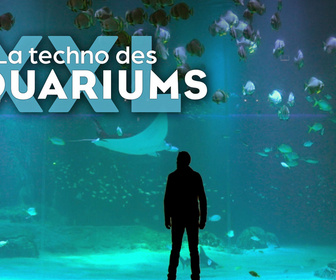 Replay La techno des aquariums XXL
