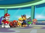 Replay Paw Patrol, la Pat'Patrouille - La baleine blanche