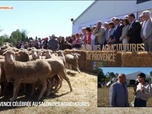 Replay Les longs formats des Locales - La Provence célébrée au Salon des Agricultures