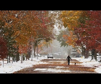Replay Premières neiges : froid record frappe le sud-est des États-Unis, 18 millions en alerte au gel