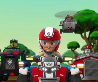 Replay Paw Patrol, la Pat'Patrouille - Le perroquet en danger