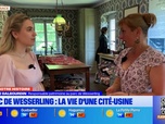 Replay Les longs formats des Locales - À la découverte du parc de Wesserling