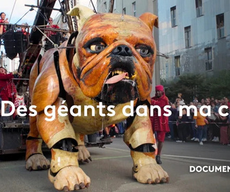 Replay La France en Vrai - Auvergne - Rhône-Alpes - Des géants dans ma cité, Royal de Luxe à Bellevue