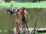 Replay Retour à l'instinct primaire - S7E20 - Gangsters de la jungle - Partie 2