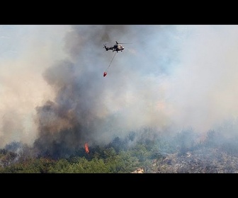 Replay La Turquie lutte contre les incendies de forêt alors qu'une vague de chaleur frappe l'Europe