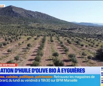 Replay Les longs formats des Locales - Dans Notre Histoire : fabrication d'huile d'olive bio à Eyguières