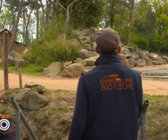Replay Une saison au zoo - S13 E22
