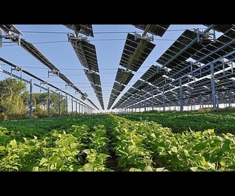 Replay En juin, le solaire couvre 25 % des besoins électriques de l'UE