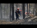 Replay Incendie dans le Var : plus de 600 pompiers mobilisés, le feu toujours pas fixé