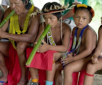 Replay Amazonie : un trésor en péril - Amazonie : les murmures de la forêt