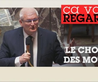 Replay Ça vous regarde - Aide active à mourir : qui pourra y accéder ?