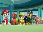 Replay Paw Patrol, la Pat'Patrouille - Le monstre des neiges