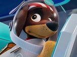 Replay Paw Patrol, la Pat'Patrouille - L'alliance des trois méchants