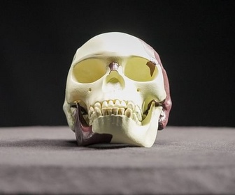 Replay Fraudes et mensonges scientifiques