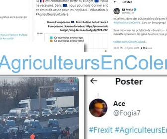 Replay Agriculture : la colère s'étend en Europe - Colère des agriculteurs : la récupération politique du mouvement sur X