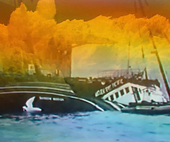 Replay Qui a coulé le Rainbow Warrior ? - Tombés pour la France