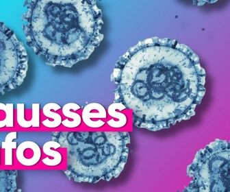 Replay Top Info - Hantavirus : attention à ces fausses infos
