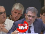 Replay 100% Sénat - Le wokisme, une menace pour les universités françaises ?