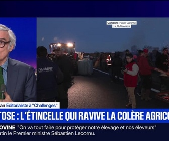 Replay BFM Grand Soir - Abattages : la colère et l'incompréhension des éleveurs - 12/12