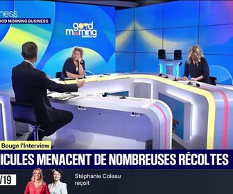 Replay Good Morning Business - Émission du 8 juillet 2026