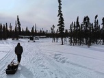 Replay Seuls face à l'Alaska - S8E5 - Le combat pour la liberté