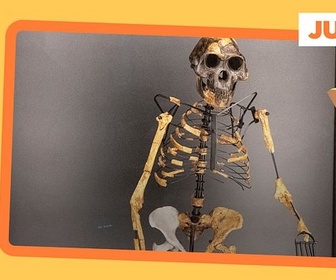 Replay Lucy, l'ancêtre de l'humanité, exposée à Prague - ARTE Journal Junior de mercredi