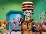 Replay Paw Patrol, la Pat'Patrouille - La publicité de François