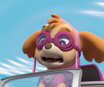 Replay Paw Patrol, la Pat'Patrouille - Galinetta pilote un avion