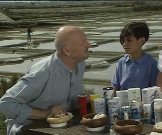 Replay Comment c'est fait ? : Le sel - Jean-Pierre Coffe